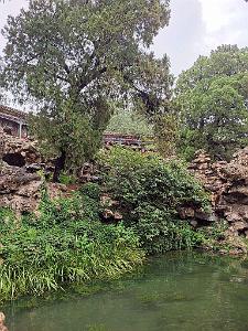 PEKIN - PARC BEIHAI (47)